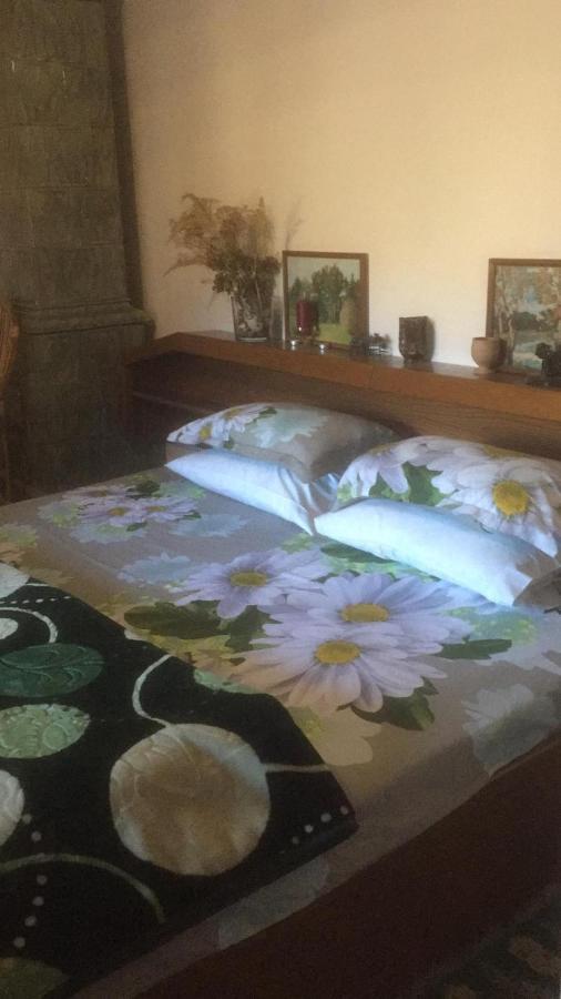 Vila Licurici Caciulata Ngoại thất bức ảnh